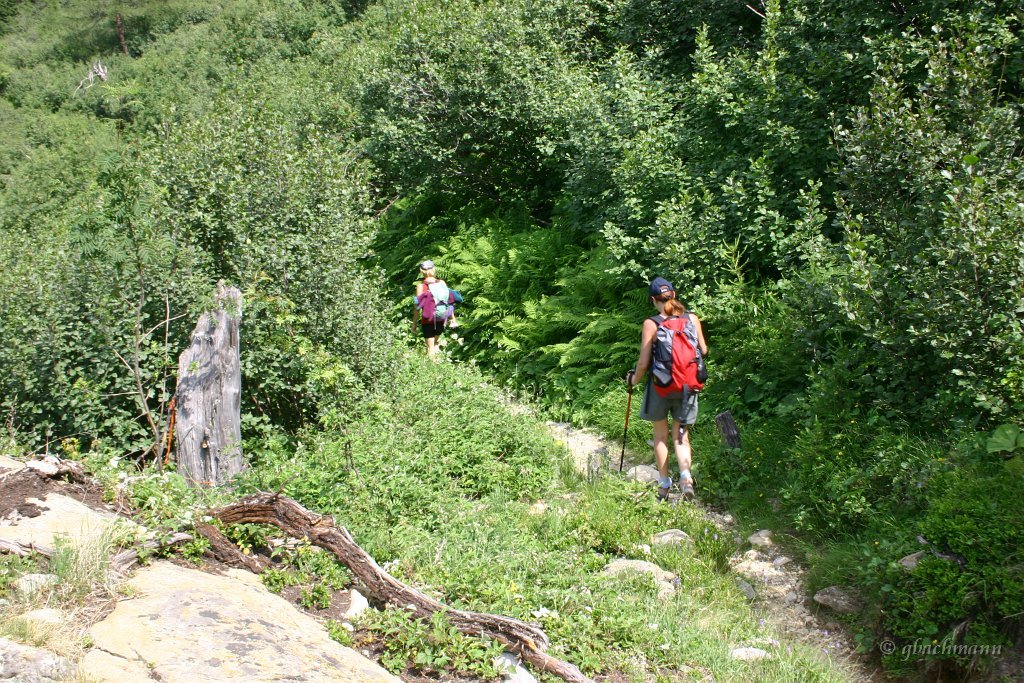 20060716_279